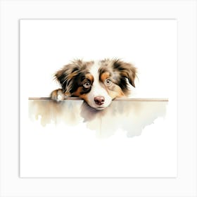 Australian Shepherd 3 Art Print