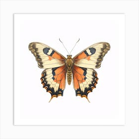 Butterfly 43 Art Print