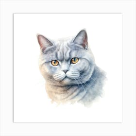 British Shorthair Cat Portrait 3 Art Print