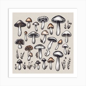 Collection Of Mushrooms Art Print