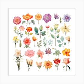 Flowers 2 Art Print