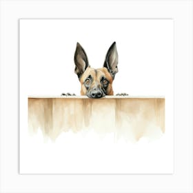 Belgian Shepherd Art Print