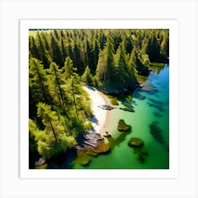 Forest Water Nature Tree Copy Space Creek Summer Sand Aerial Moss Clear Sky Vacation Sun Art Print