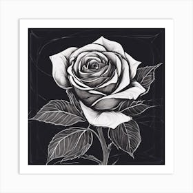 Black And White Rose Art Print