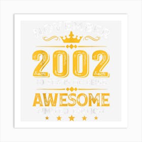 Awesome Since November 2002 20 Years Old 20th Birthday Gifts Art Print