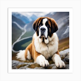 St Bernard Dog 7 Art Print