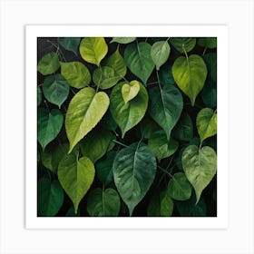 Green Leaves On A Black Background Art Print