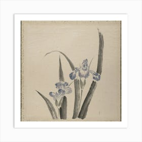Orchid Flower, Album Of Sketches (1760–1849) Painting, Katsushika Hokusai Art Print