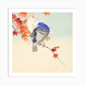 Pigeons On A Branch Art Print