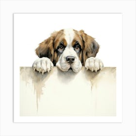 St Bernard Dog 3 Art Print