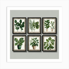 Set Of Six Botanical Framed Prints Art Print