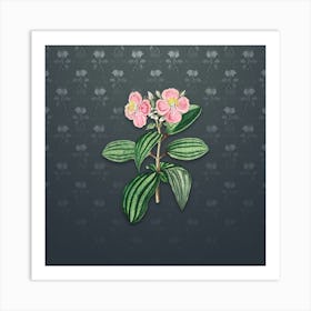 Vintage Starry Osbeckia Flower Botanical on Slate Gray Pattern n.2471 Art Print