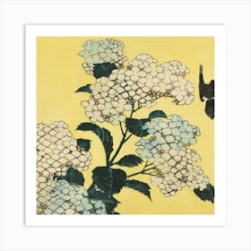 Hydrangea Art Print