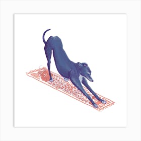 Downward Facing Greyhound Art Print