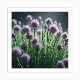 Chives 3 Art Print