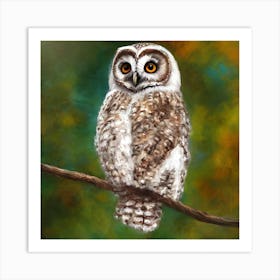 Fledgeling Owlet Art Print