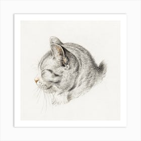 Rolled Up Lying Sleeping Cat 1, Jean Bernard Art Print