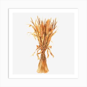 Bouquet Of Wheat Art Print