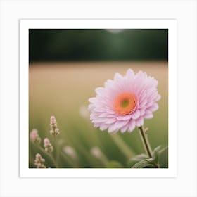 Gerbera Daisy 1 Art Print