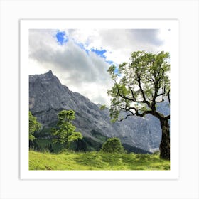 Lone Tree In The Alps Art Print