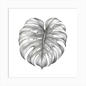 Line Art monstera leaves 1 Art Print