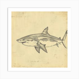 Tiger Shark Vintage Illustration 1 Art Print
