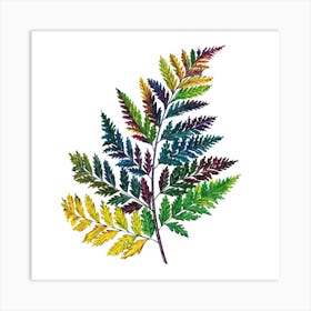 Rainbow Fern Art Print