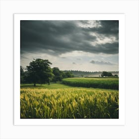 Dark Clouds Over A Wheat Field Art Print