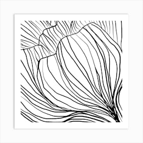 Black And White Flower Drawing Art Print