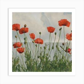 Poppies 85 Art Print