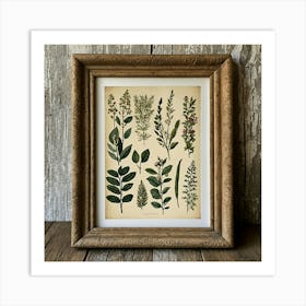 Botanical Print 3 Art Print