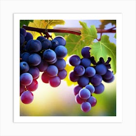 Grapes On The Vine 42 Art Print