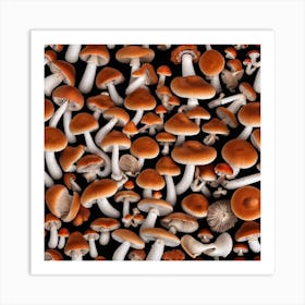 Mushroom On Black Background Photo Art Print