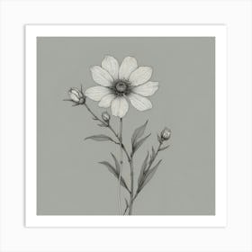 Cosmos Flower Art Print