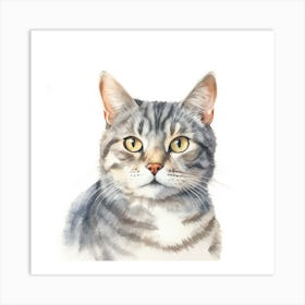 American Wirehair Shorthair Cat Portrait 2 2 Art Print