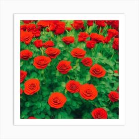 A Radiance of Red and Green Art Print