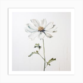 White Cosmos Art Print