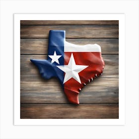 Texas from the United States of America Art Print