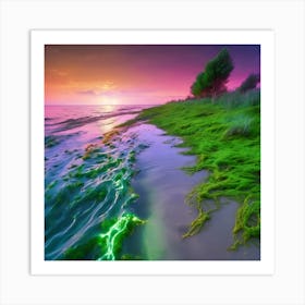 Mossy Beach At Sunset Art Print