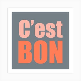 Cest Bon Grey And Pink Square Art Print