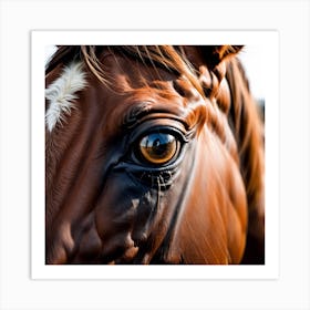 Eye Of A Horse 22 Art Print