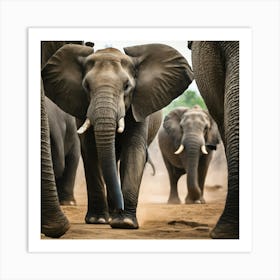 Elephants In The Wild Art Print