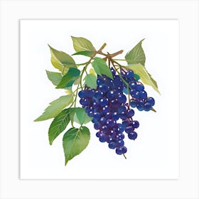 Blackcurrant Art Print