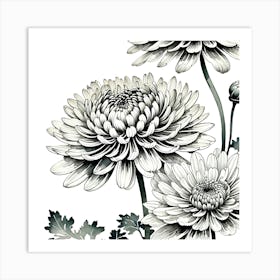 Chrysanthemums 5 Art Print