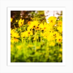 Hazy Yellow FLowers Art Print