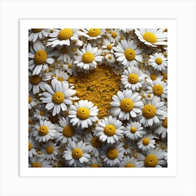 Daisies 2 Art Print