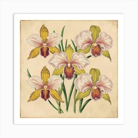 Orchids A stunning illustration featuring vintage orchids. Each orchid is intricately detailed, showcasing the delicate petals,vibrant colors, and intricate patterns that make them unique. Art Print