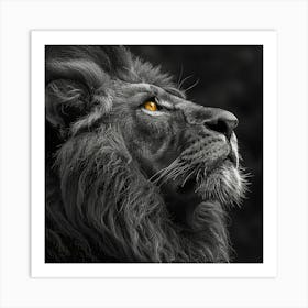 Black And White Lion Art Print