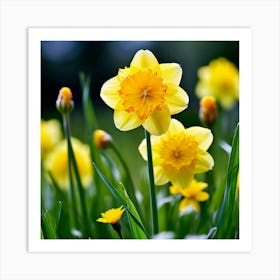 Garden Blossom Summer Grass Bloom Green Buttercup Meadow Field Spring Beautiful Yellow B (2) Art Print