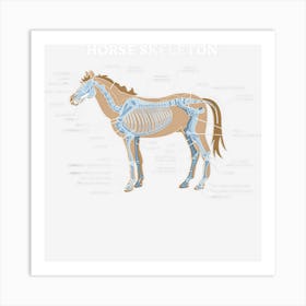 Anatomy Of A Horse Horse Skeletal Structure Art Print